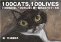 100cats0002